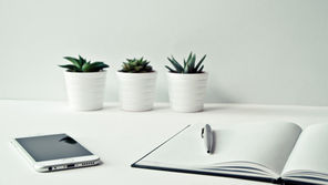 How to assess the influence of stakeholders