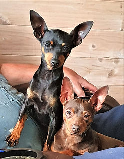 Tuppence and Guinness 2020.jpg