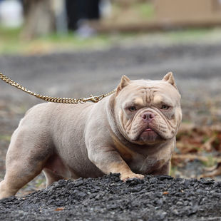 'Āina Okalani Hawaii Kids 02.jpg