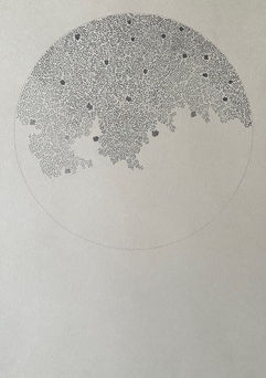 Collection Lune fleurie #1 - bis 4.jpeg