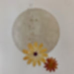 Une fleur éclôt #1, by Laure Julien