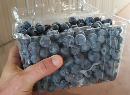 Generous Blueberries Farm