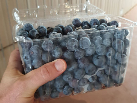 Generous Blueberries Farm