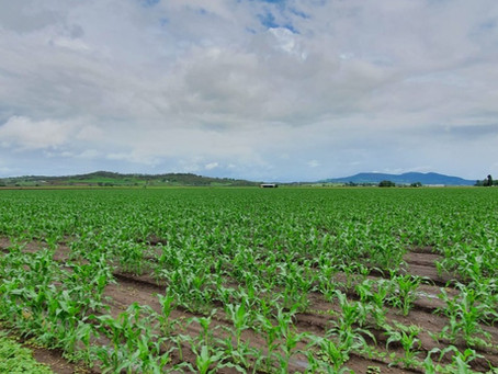 Lockyer Valley