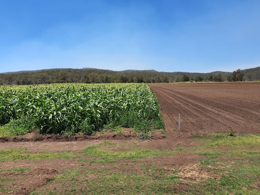 Horticultural industry