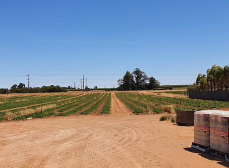 Full operational traceability
