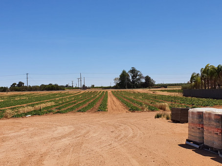 Full operational traceability
