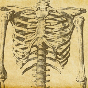 BONE HEALTH