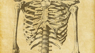Interkostalneuralgie: Ursache, Symptome und Behandlung | schmerzcenter.com