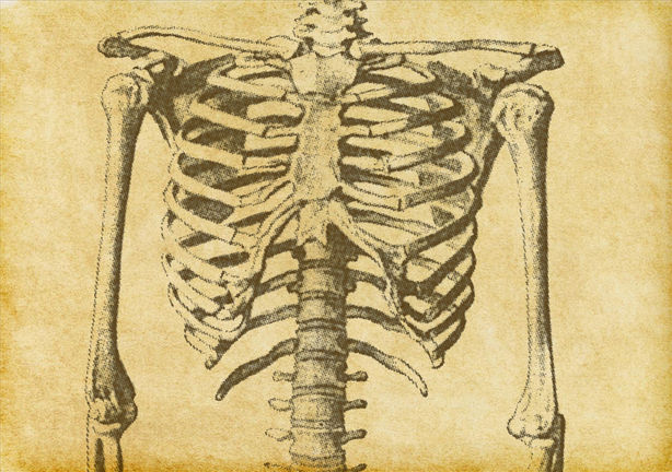 Bones. Bones. Bones.