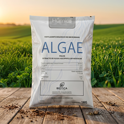 Fertilizante biológico foliarAminoácidos libres + PGA (1)