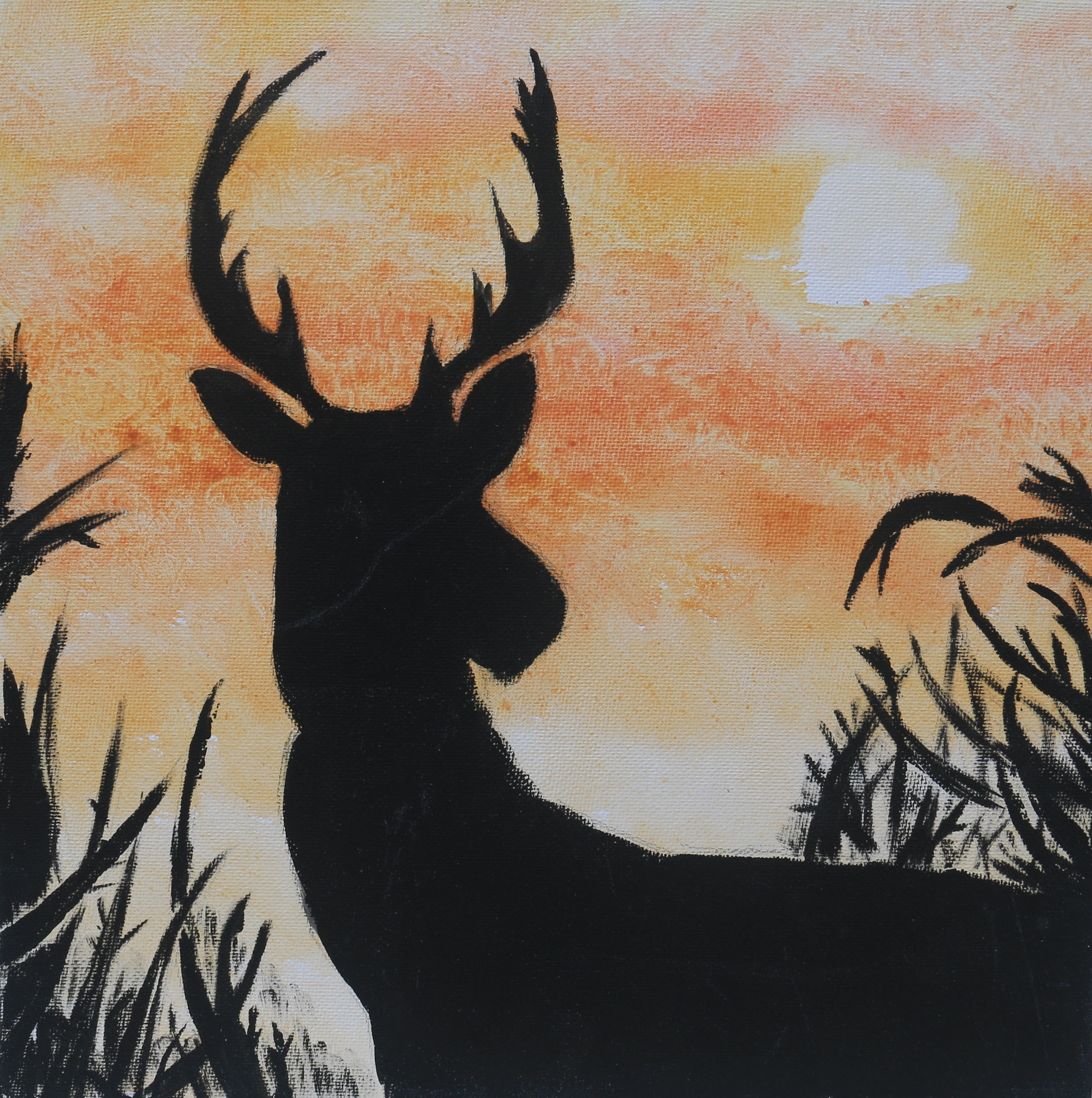Dawn