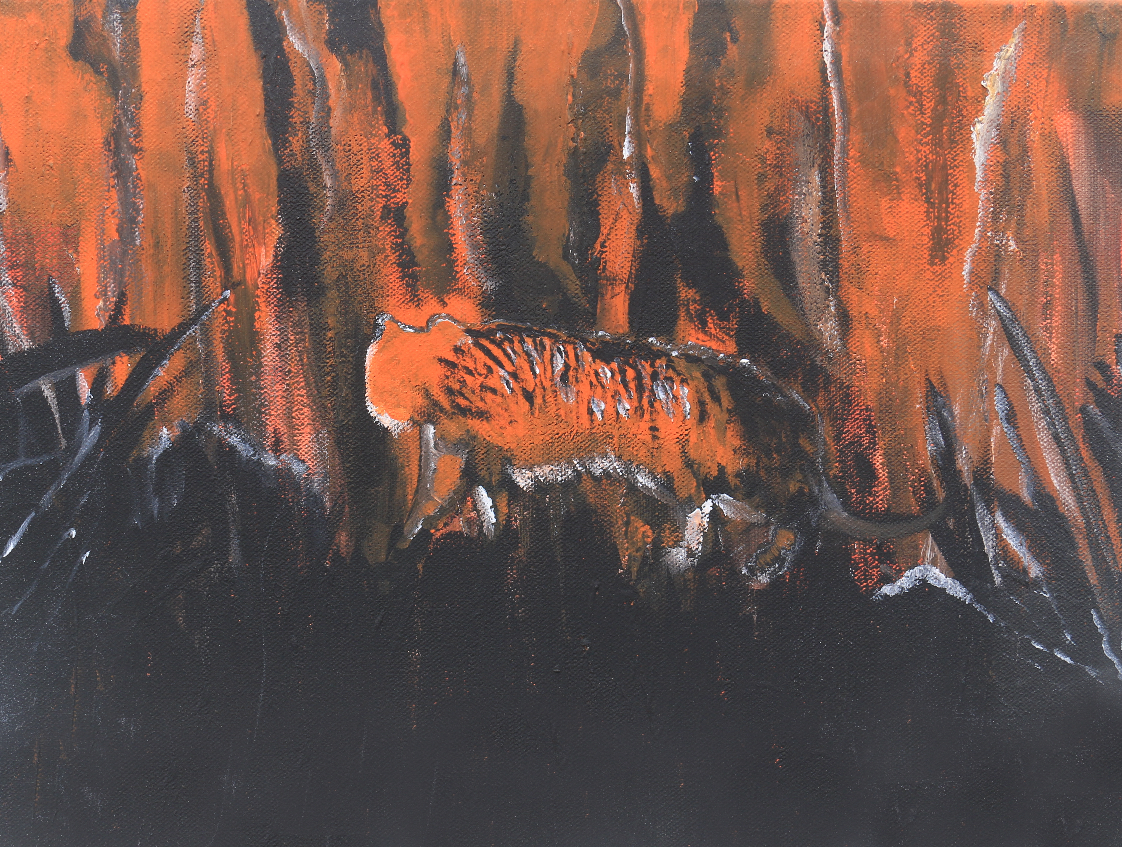 Tiger, tiger