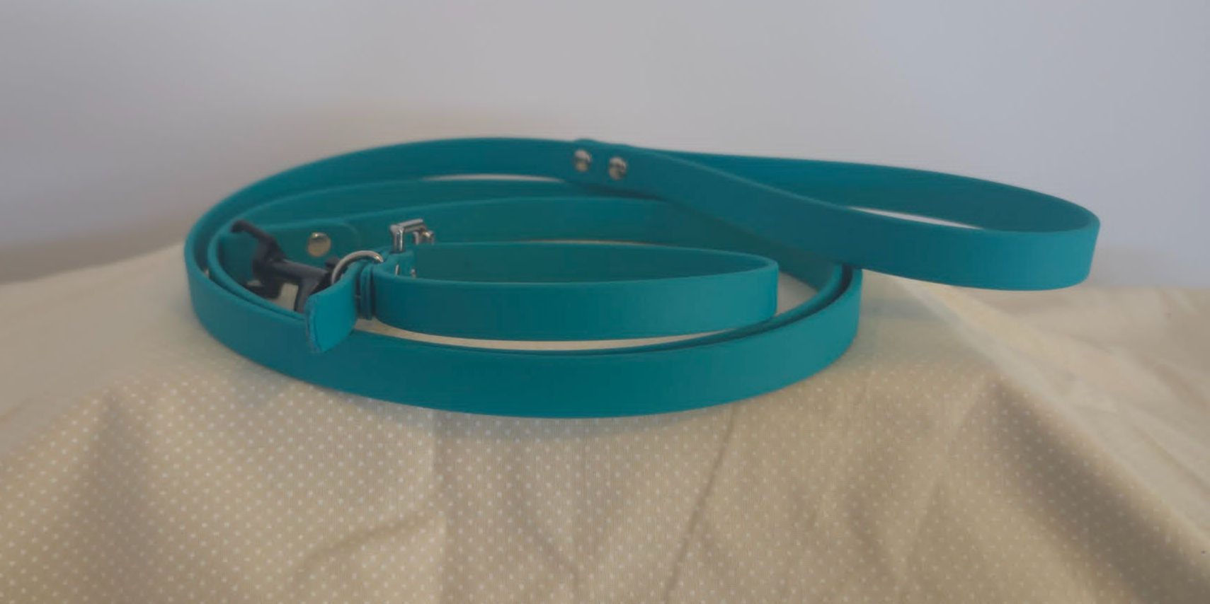 Turquoise Biothane Collar & Lead Set