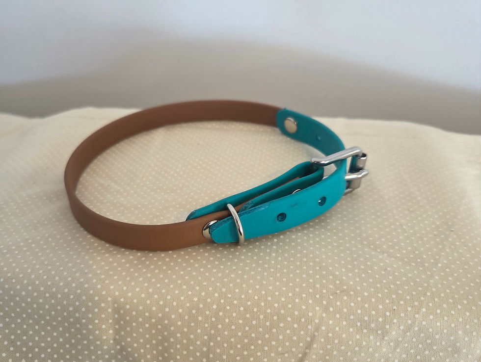 Thumbnail: Chocolate & Turquoise Two-Tone Biothane Collar