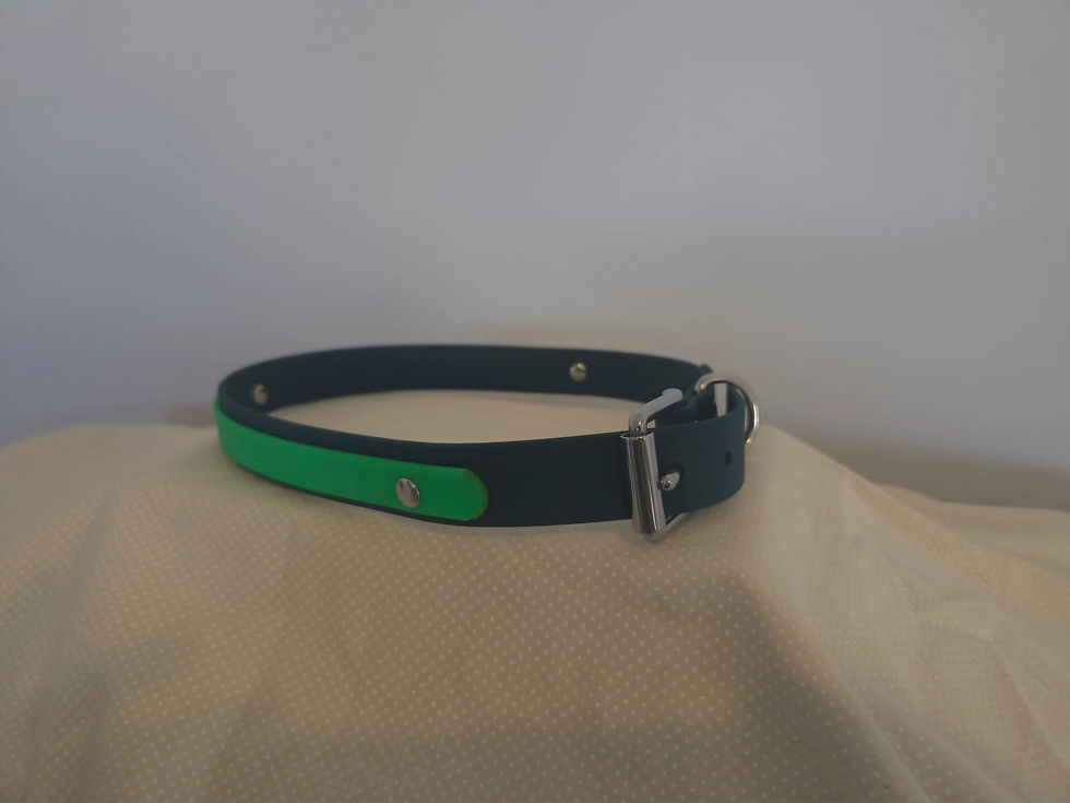 Thumbnail: Dark Green & Lime Green Biothane Collar-70cm