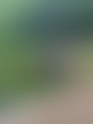 Asheville Writers Retreat 2023