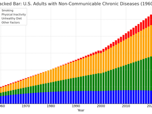 What is the percentage of United States adults from 1960 to 2024 with non-communicable chronic disease, and the associated  lifestyle.