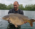 Main fish picture