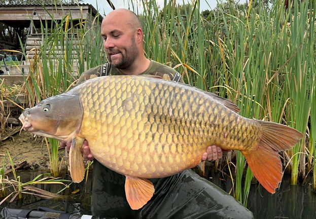Main fish picture