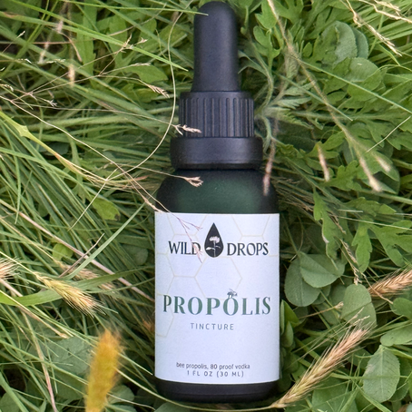 Propolis Tincture: Nature’s Powerful Healer from the Hive 🐝