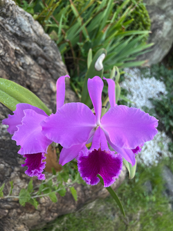 77F6AB92-7E98-413F-81EE-A0E460EBEE45