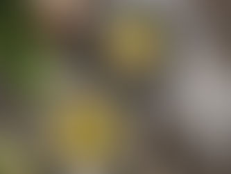 Summer Chicken Zucchini Pasta Soup