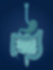 Human_digestive_tract_anatomy_il…_202607121920.jpeg