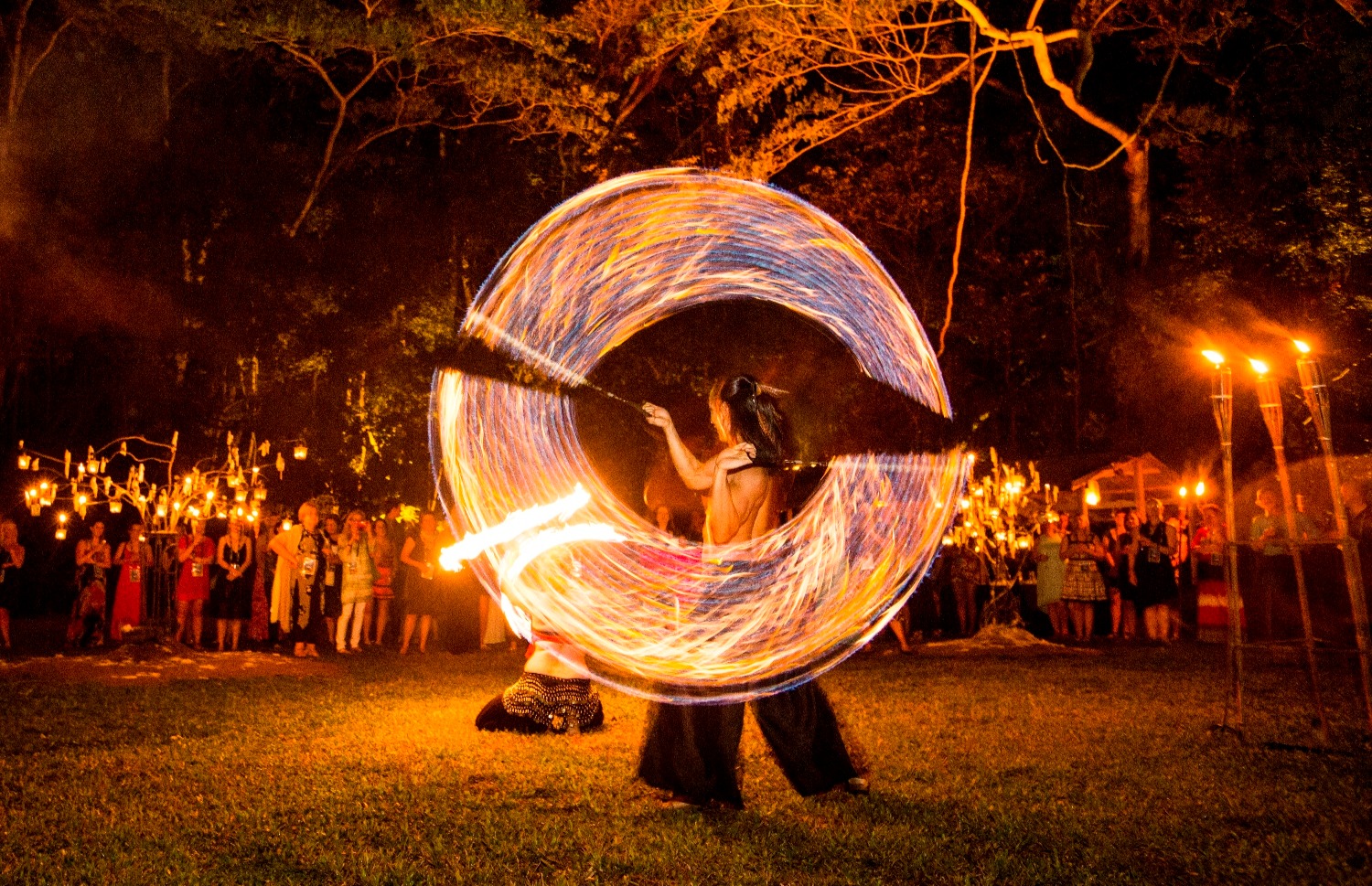 Flames of the Forest