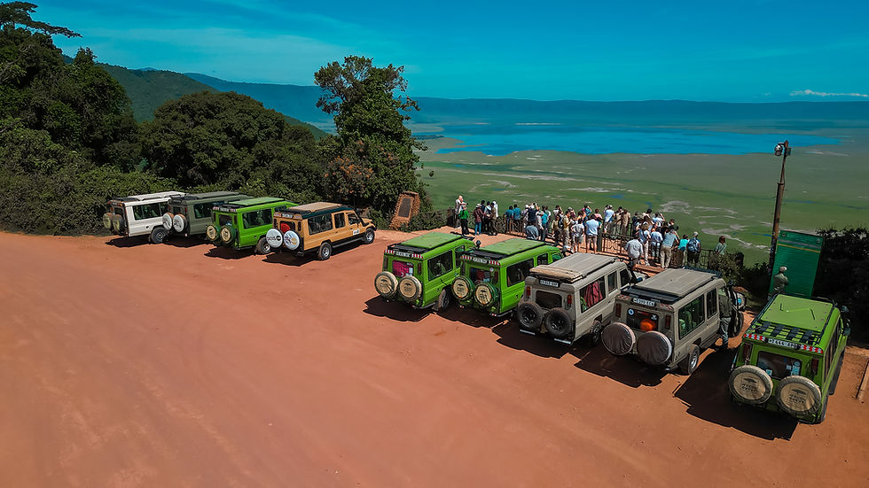 54424000120_0d46267fa0_o