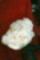 1G4A2395.jpg