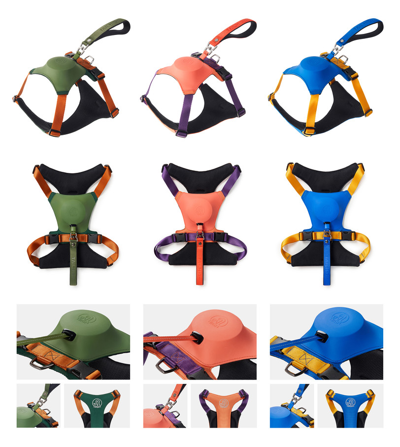 221107_TAIL HIGH_1.jpg