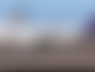 A companhia aérea Latam suspende o limite de peso para os pets dentro da cabine