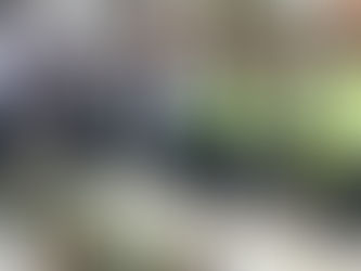 Prefeitura de Salvador entrega Mercado Popular, usina solar e unidades habitacionais no Residencial Mané Dendê