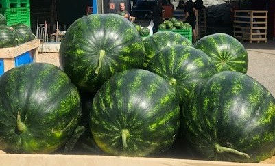 Watermelons