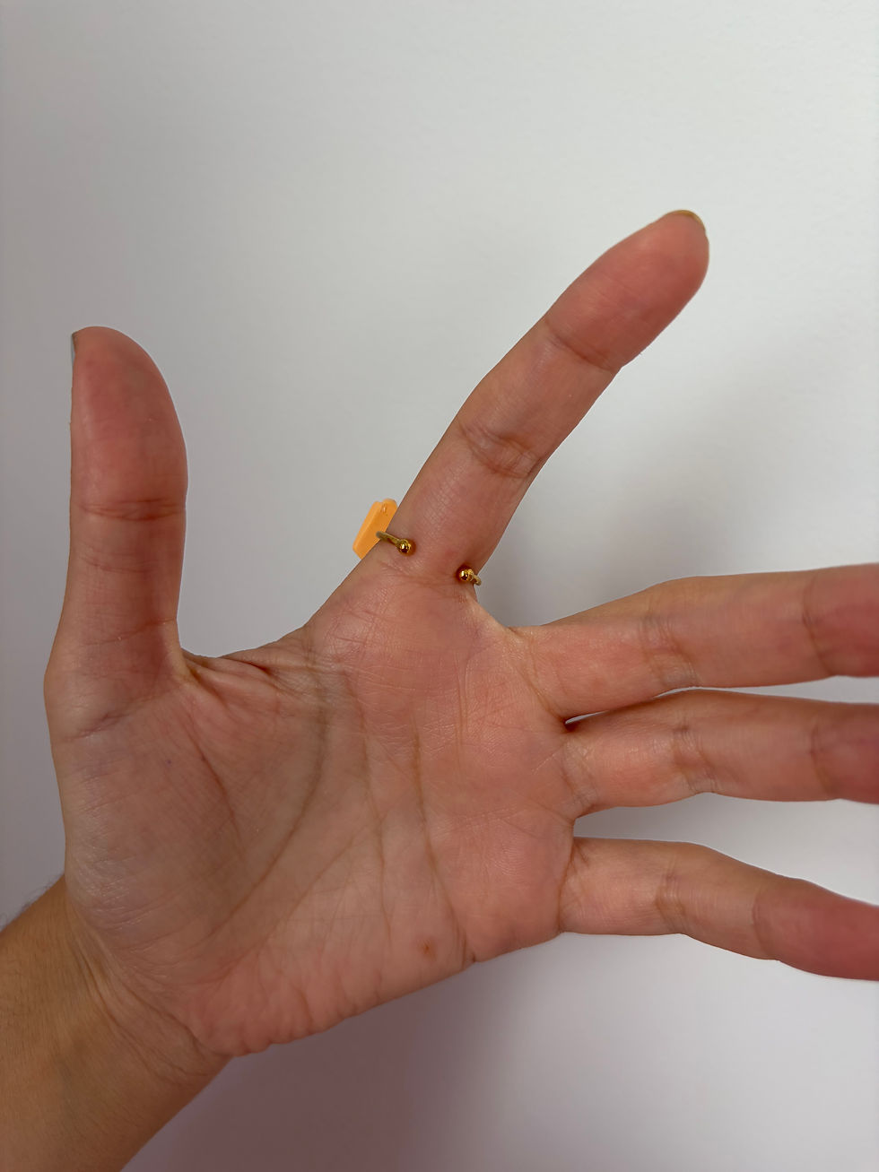 Miniatura: Anillo panaera