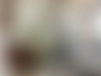 Indoor plants are essential for our health