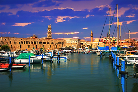 acre (1).png