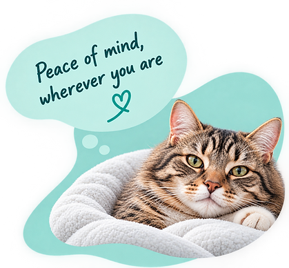 peaceofmind_Btm2.png