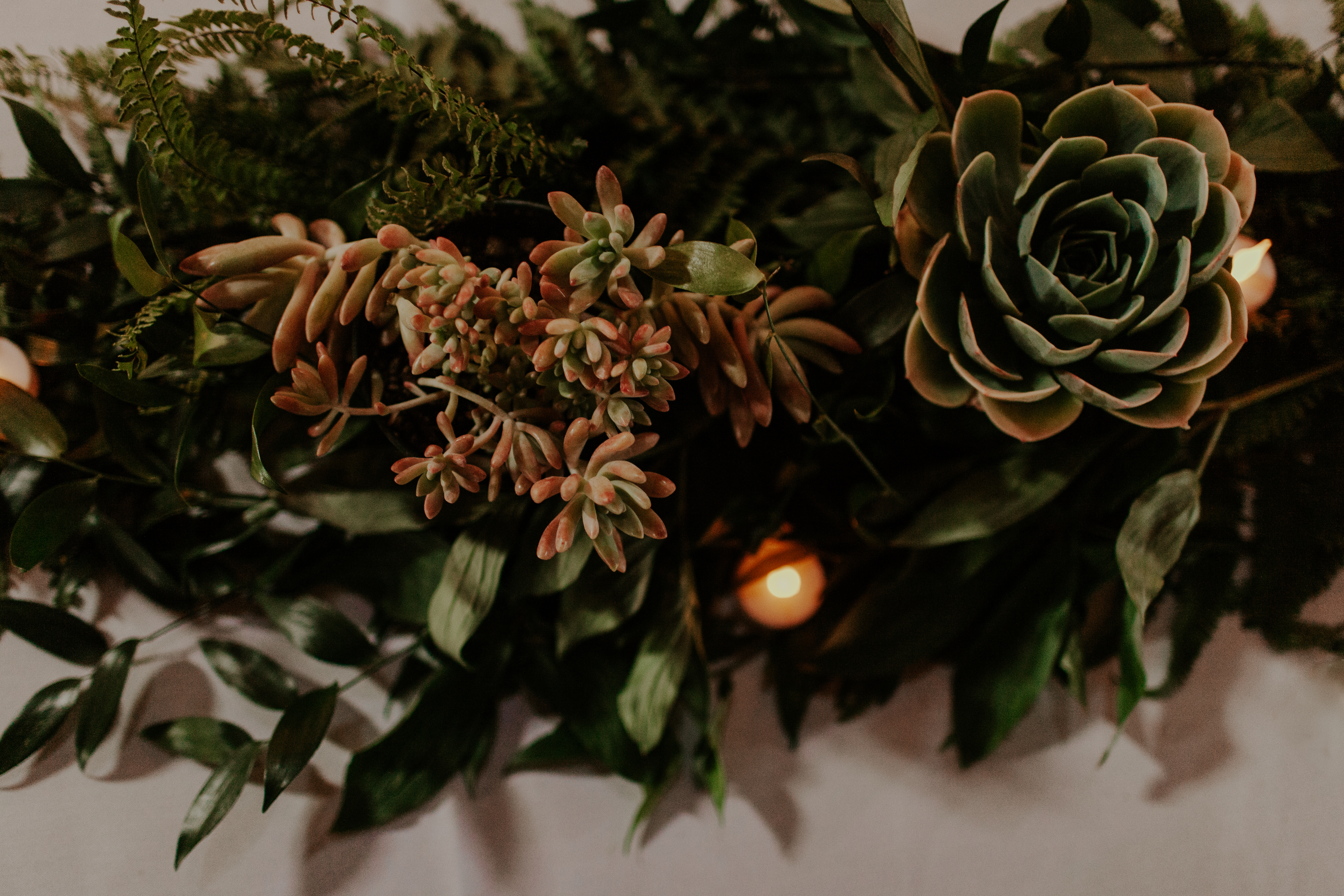 Kayla Dawn Photography