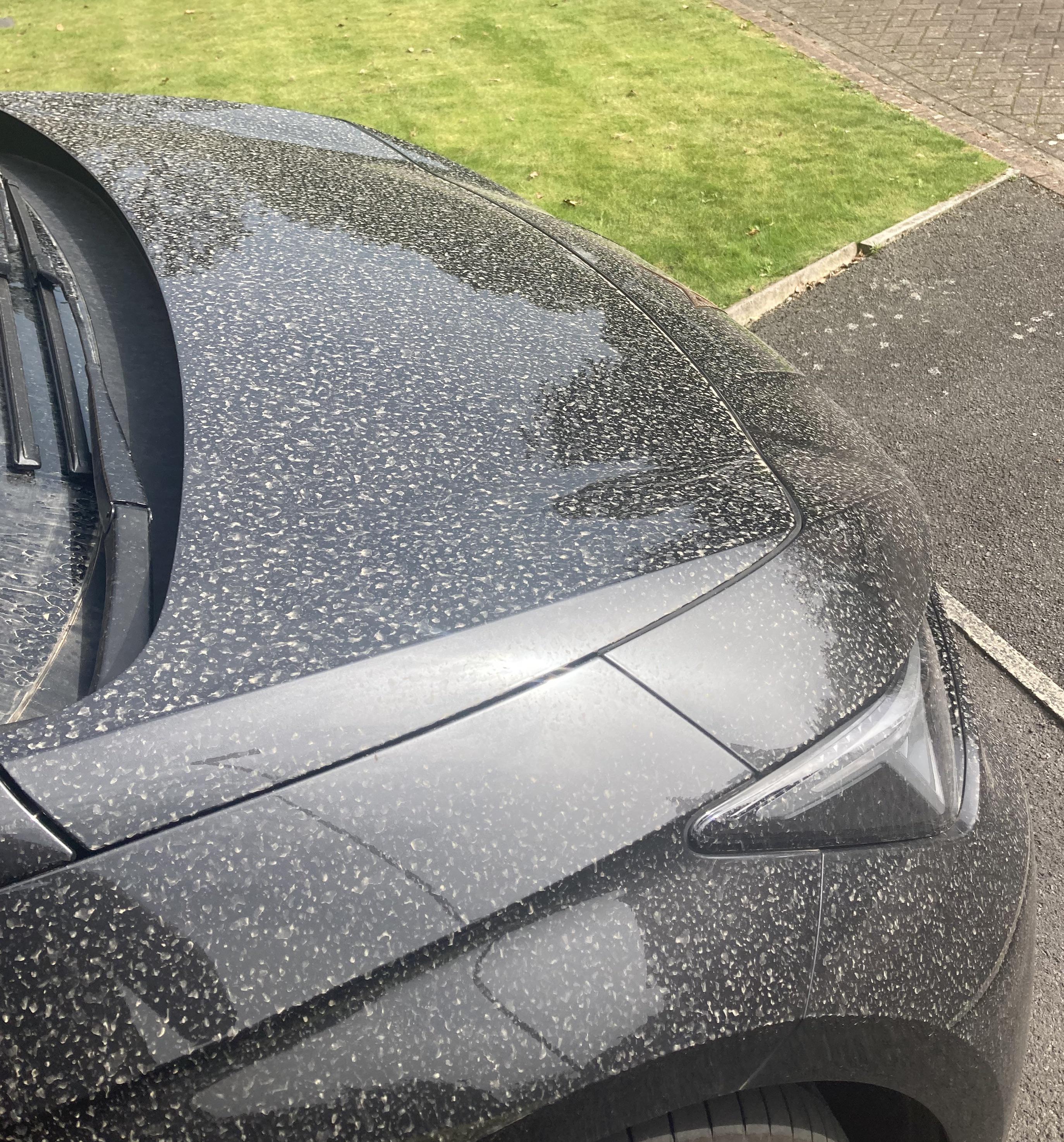 Urban grime, dust and traffic film removed from a car