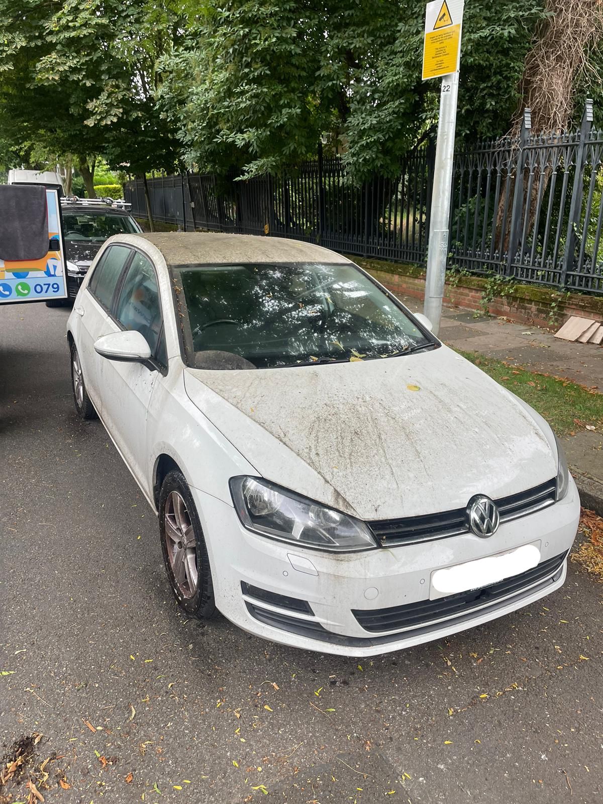 Bird dropping and tree sap removal from car paint