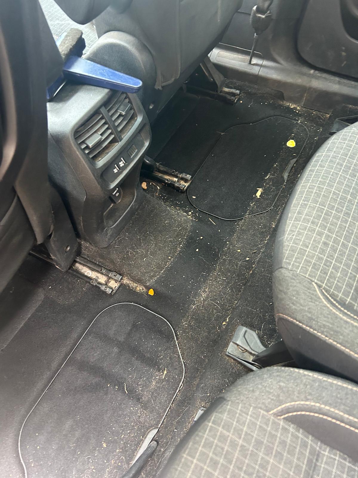 Pet hair and interior stain removal from car seats