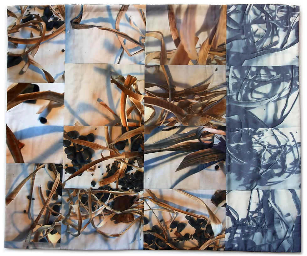 Poetic Roaming
Joans Quilt