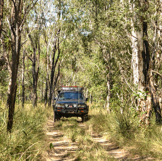 4x4 vehicle on a dirt track in remote bushland