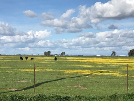 The Valley Land Alliance believes in agriculture and ecology. 