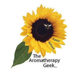 293880932_587131996316383_14533818359420