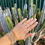 Miniatura: ELASTIC BRACELETS