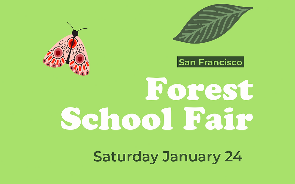 Forest School Fair