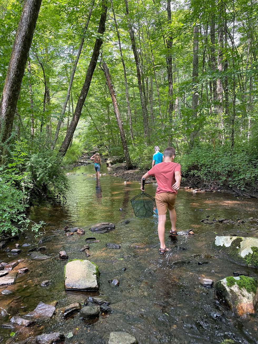 image_67237377.JPG